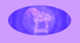 barnyard_flea_market001023.jpg
